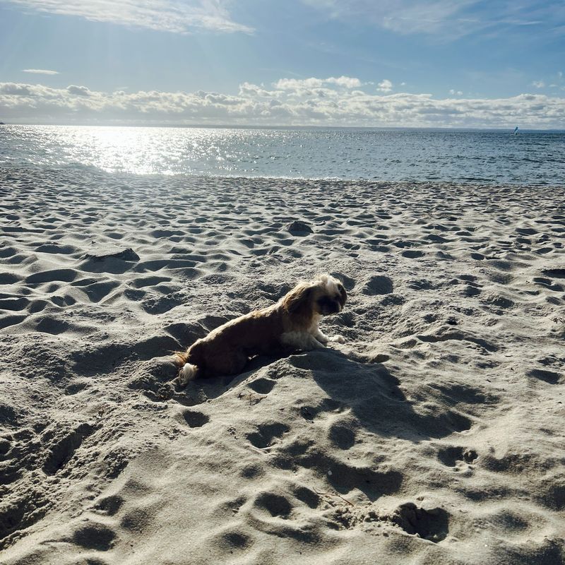 Kmdra Z Przybyszewskiego, Hel do Bulw Nadmorski, Hel