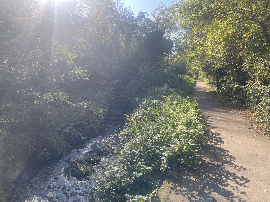 Bridge Street, Edinburgh to Thornyhall, Dalkeith