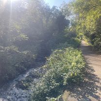 Bridge Street, Edinburgh to Thornyhall, Dalkeith