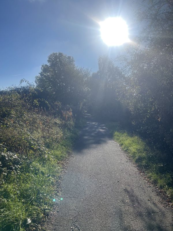 Bridge Street, Edinburgh to Thornyhall, Dalkeith