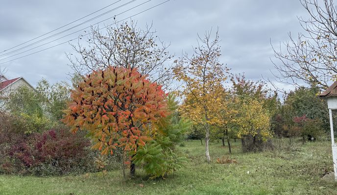 Foto 2 der Bikemap-Route "Újvilág utca, Beregovo - Újvilág utca, Beregovo"