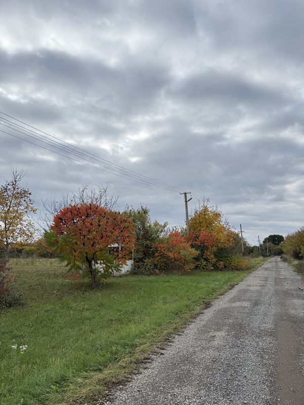 Újvilág utca, Beregovo - Újvilág utca, Beregovo