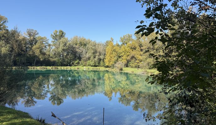 Photo 1 of the Bikemap route "Fohrenbergstraße, Ihringen nach Fohrenbergstraße, Ihringen"