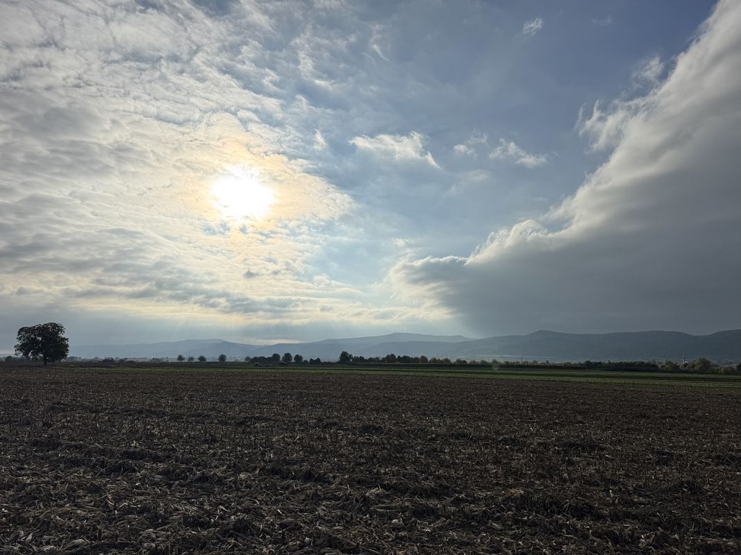 Prinz-Rupprecht-Straße, Deidesheim nach Gerhart-Hauptmann-Straße, Haßloch