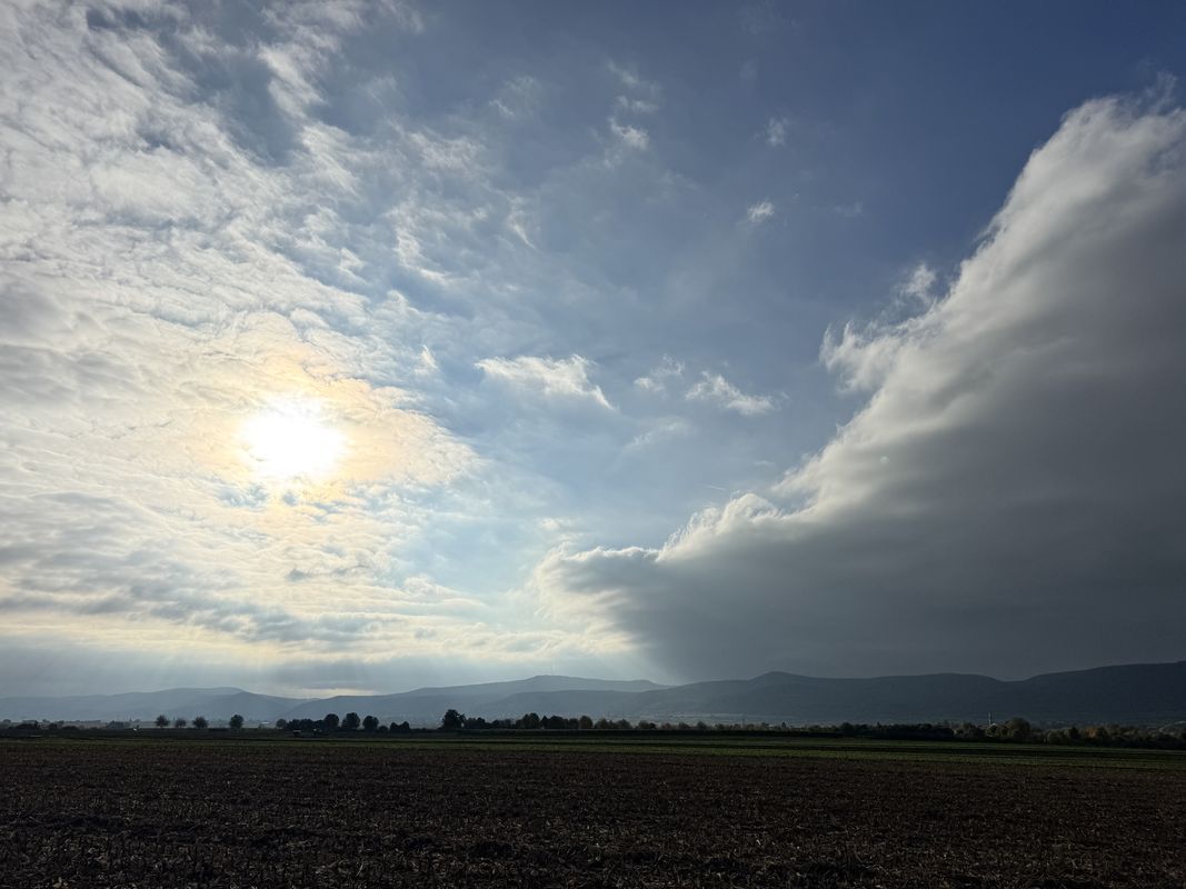 Prinz-Rupprecht-Straße, Deidesheim nach Gerhart-Hauptmann-Straße, Haßloch