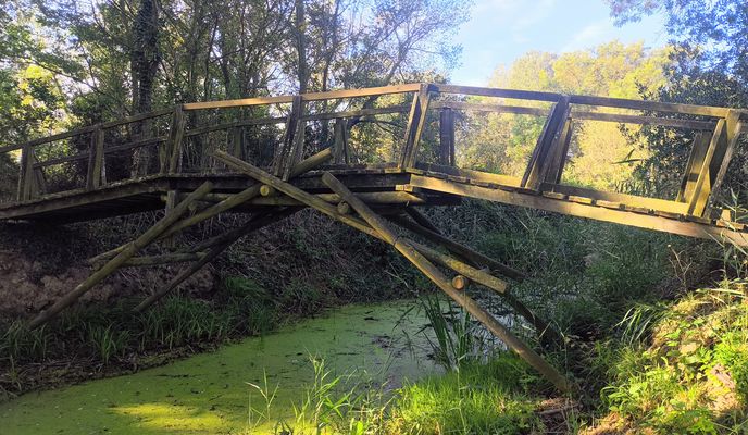 Foto 1 der Bikemap-Route "17 Roses Pont-Da-Vinci Castelló-d'Empúries Vila-Sacra Vilamalla Tonyà Siurana Riumors Castelló Empuriabrava Ciutadella"