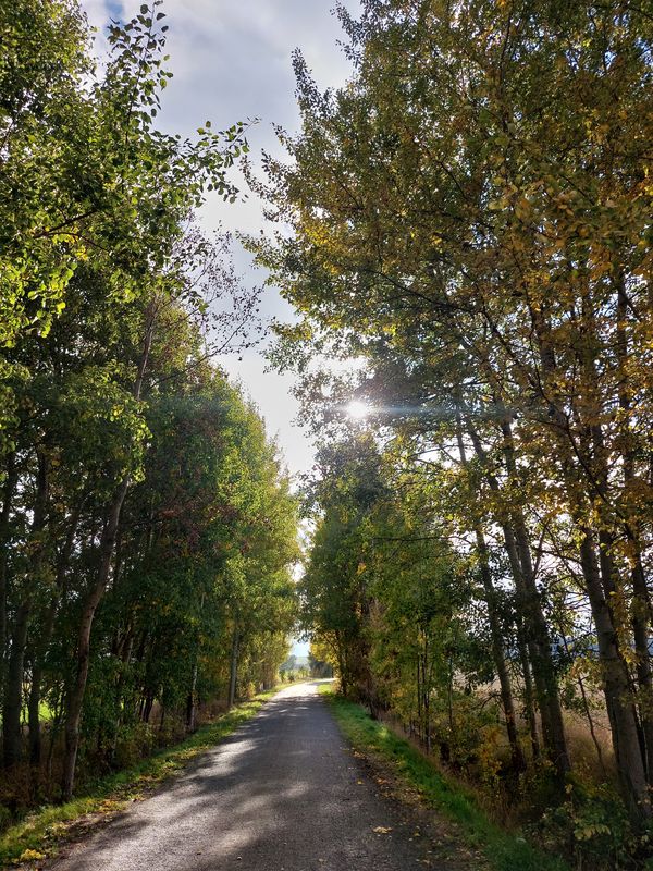 U Brány do U Brány