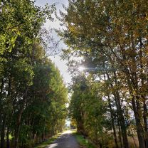 U Brány do U Brány