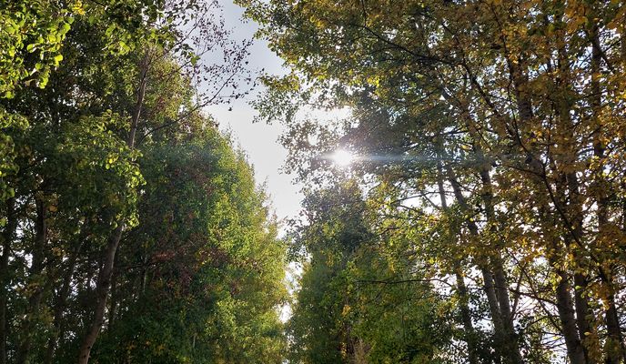 Photo 1 de l’itinéraire Bikemap « U Brány do U Brány »