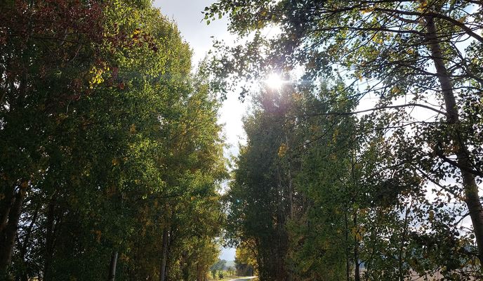 Photo 2 de l’itinéraire Bikemap « U Brány do U Brány »