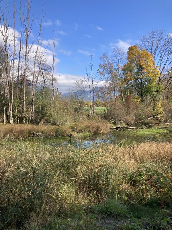 Rund um den Tegernsee