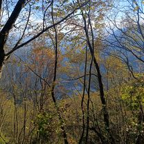 Foto 8 der Bikemap-Route "Da Via Papa Luciani a Via Papa Luciani" Foto 8 der Bikemap-Route "Da Via Papa Luciani a Via Papa Luciani"