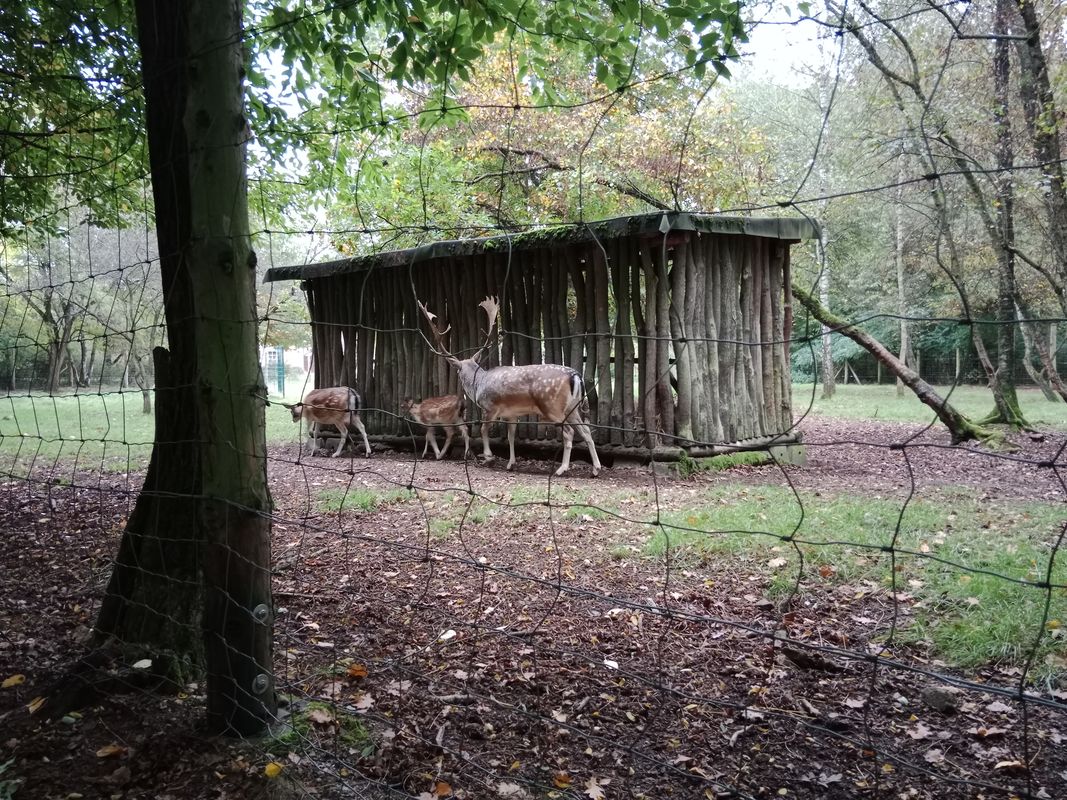 Šebelova do Breitcetlova