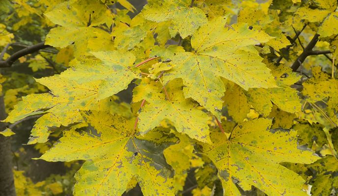 Foto 1 der Bikemap-Route "Orehek - Naklo - Orehek"