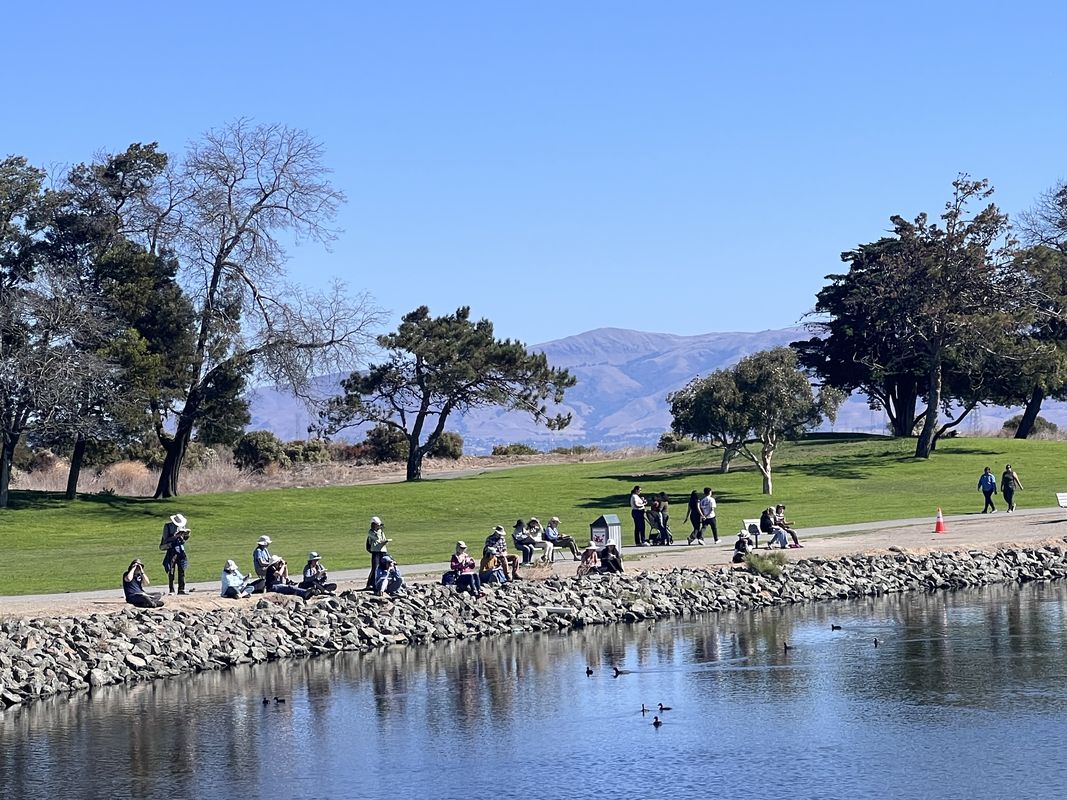 Nicholas Dr, Mountain View to Nicholas Dr, Mountain View