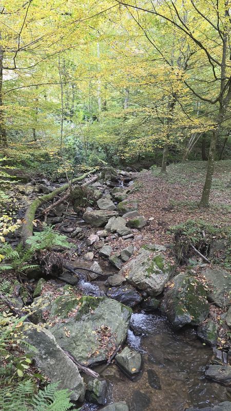 Wachaustraße nach Wachaustraße