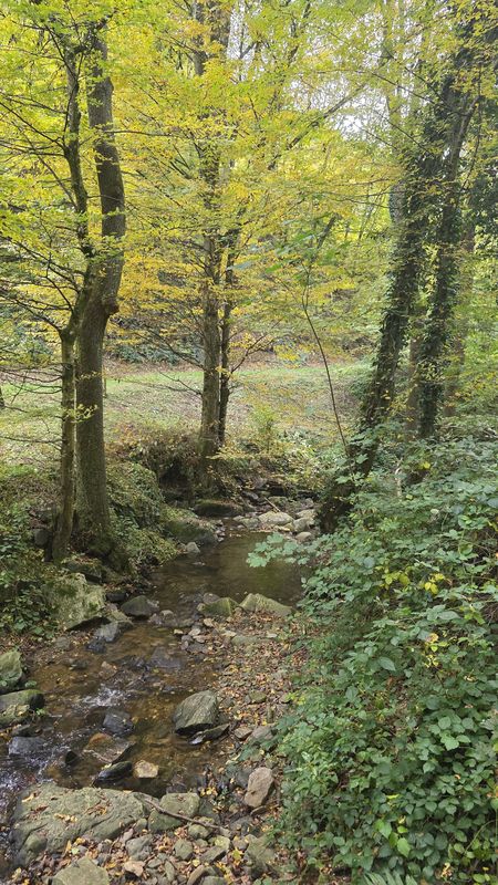 Wachaustraße nach Wachaustraße