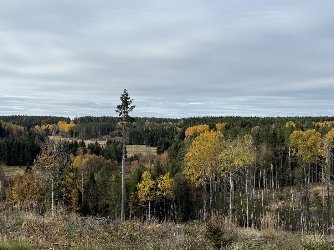 Karlavagnsvägen, Säffle to Länsväg S 547, Säffle