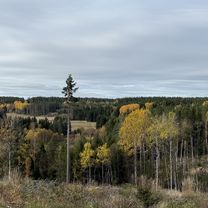 Karlavagnsvägen, Säffle to Länsväg S 547, Säffle