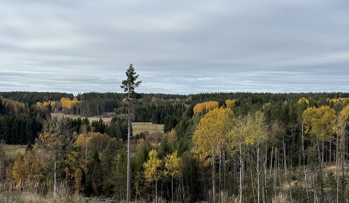 Foto 1 del percorso Bikemap "Karlavagnsvägen, Säffle to Länsväg S 547, Säffle"