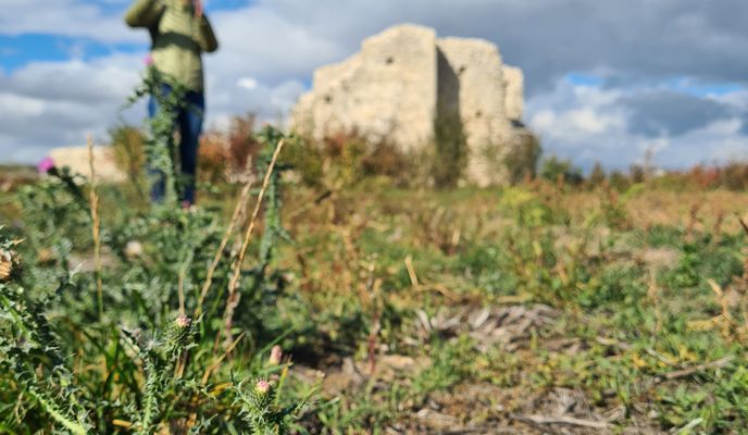 Zdjęcie 2 trasy Bikemap „Zsámbék - Tök”