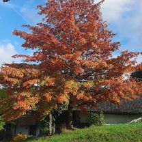 Photo 7 of the Bikemap route "puchberg, fernreith, gferet, müllerberg"