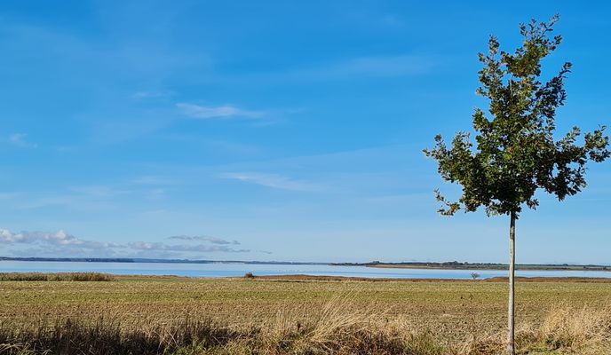 Foto 2 del percorso Bikemap "Wasserstraße nach Lübsche Straße 103B"
