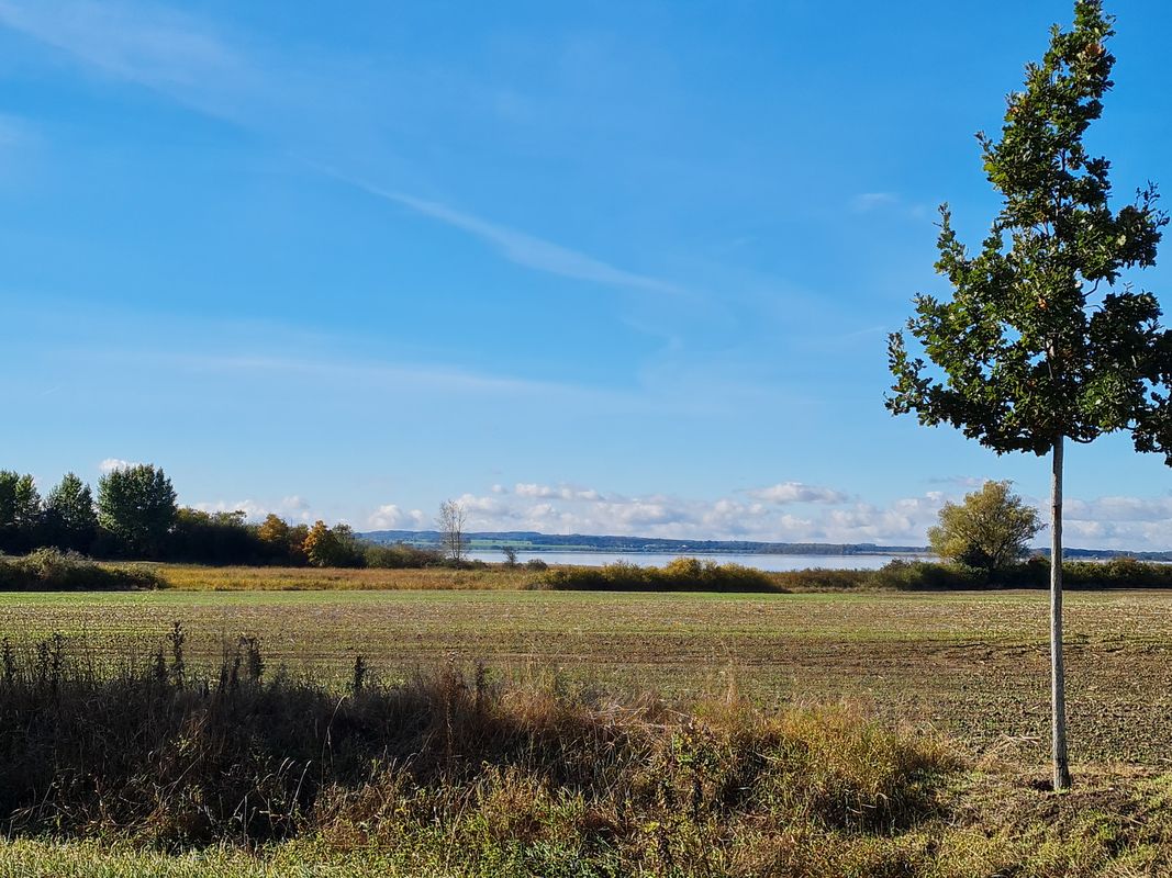Wasserstraße nach Lübsche Straße 103B