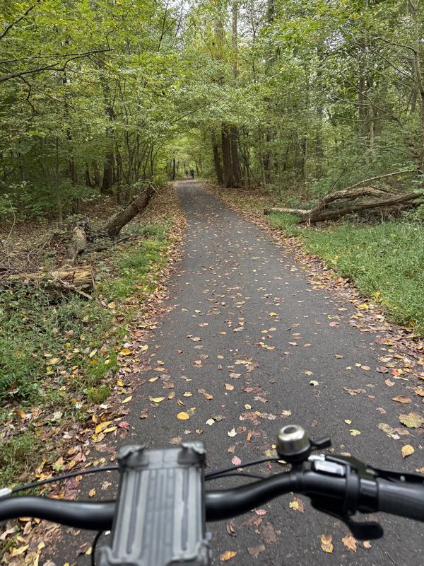 Bayard Pl, Fairfax to Bayard Pl, Fairfax