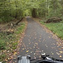 Bayard Pl, Fairfax to Bayard Pl, Fairfax