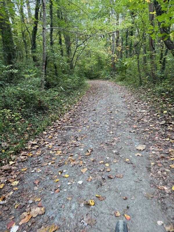 Bayard Pl, Fairfax to Bayard Pl, Fairfax