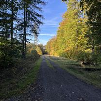 Lindenstraße, Haldensleben nach Lindenstraße, Haldensleben
