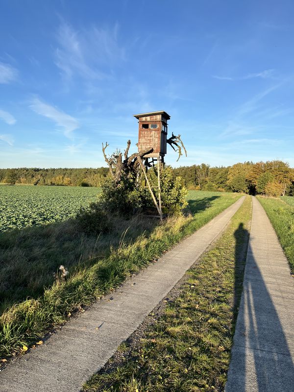Lindenstraße, Haldensleben nach Lindenstraße, Haldensleben