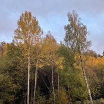 Gässlösavägen, Borås to Husbondegatan, Borås