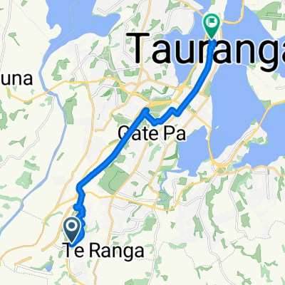 Tauranga Lawn Tennis Club