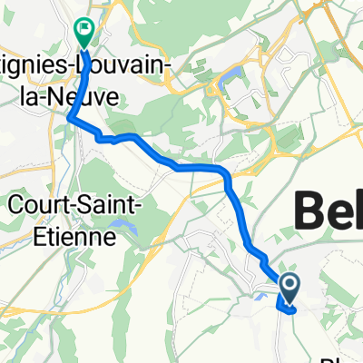 De Rue de Bayau à Avenue Albert