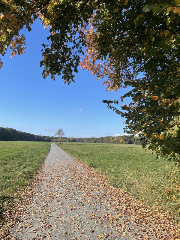 Lyoner Straße, Frankfurt am Main nach Lyoner Straße, Frankfurt am Main