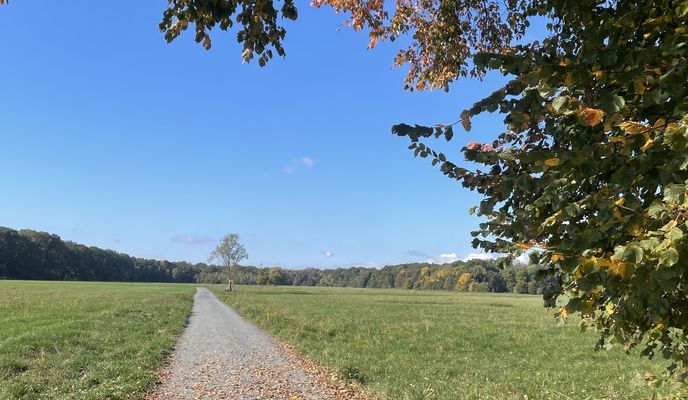 Foto 2 de la ruta de Bikemap "Lyoner Straße, Frankfurt am Main nach Lyoner Straße, Frankfurt am Main"