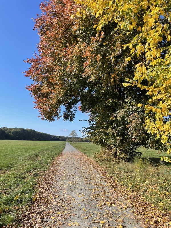 Lyoner Straße, Frankfurt am Main nach Lyoner Straße, Frankfurt am Main