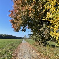 Lyoner Straße, Frankfurt am Main nach Lyoner Straße, Frankfurt am Main
