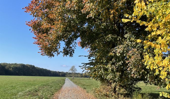 Foto 1 de la ruta de Bikemap "Lyoner Straße, Frankfurt am Main nach Lyoner Straße, Frankfurt am Main"