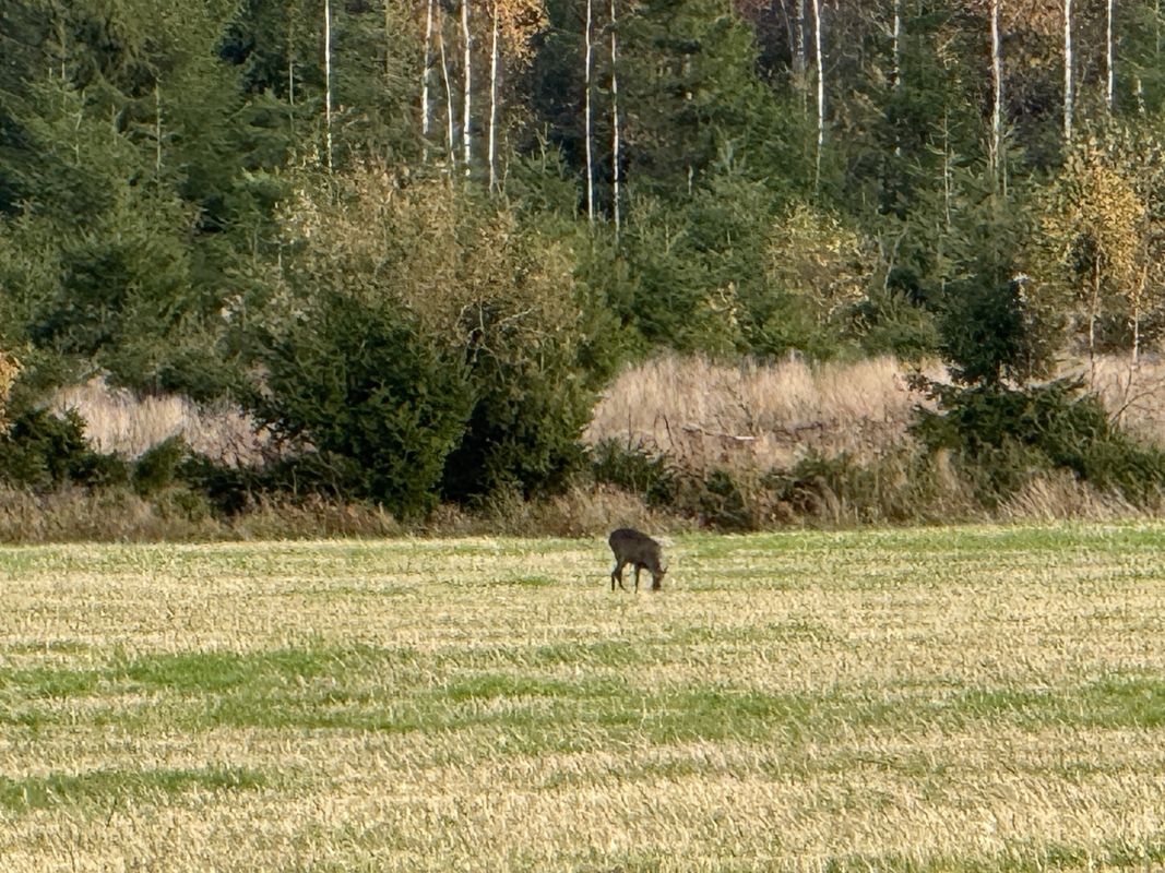 Sveagatan, Grums to Västerstrands, Karlstad