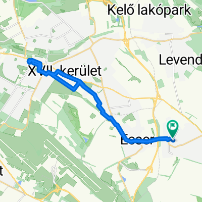 Luther Márton utca - Luther Márton utca