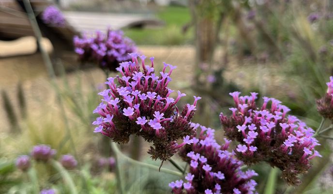Foto 1 der Bikemap-Route "Prinz-Albert-Straße, Bonn nach Maria-Montessori-Allee, Bonn"