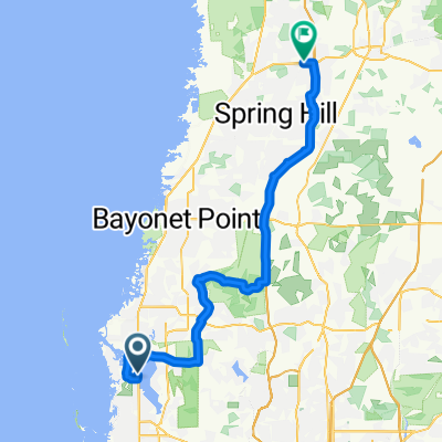 Tarpon Springs to Brooksville