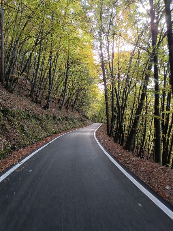 Da Via Papa Luciani a Via Papa Luciani