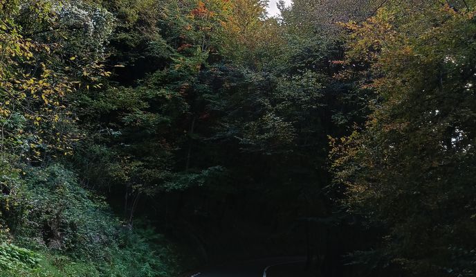 Photo 1 de l’itinéraire Bikemap « Da Via Papa Luciani a Via Papa Luciani »