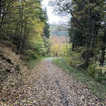 FeWo Sonnenschein  - Vogelsang