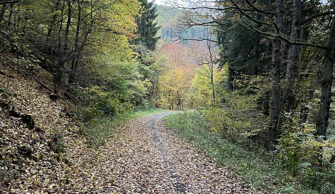 Foto 1 der Bikemap-Route "FeWo Sonnenschein  - Vogelsang"