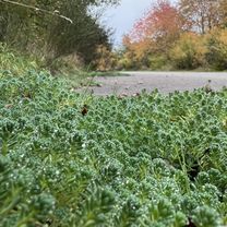 Foto 7 der Bikemap-Route "FeWo Sonnenschein  - Vogelsang"